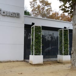 Alfonso - Alfonso