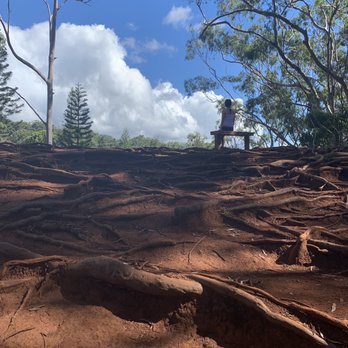 Aiea Loop Trail - Hiking Near Me - Aiea, Hawaii