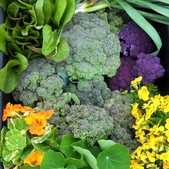 Folklore Botanical - Harvest from clients edible garden - Gardeners Near Me