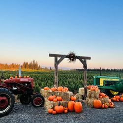 Hemphill Farms