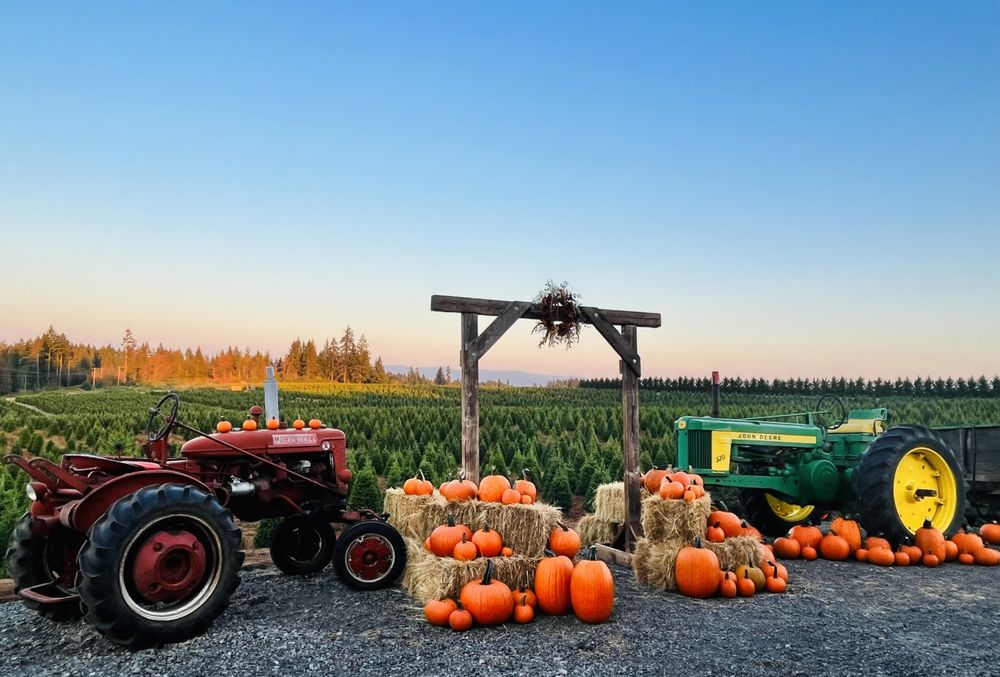 HEMPHILL FARMS Updated October 2024 67 Photos & 26 Reviews 20324