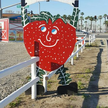 Thacker Berry Farms - Strawberry love! - Fruits & Veggies Near Me - Long Beach, California Thacker Berry Farms - Strawberry love! - Fruits & Veggies Near Me - Long Beach, California