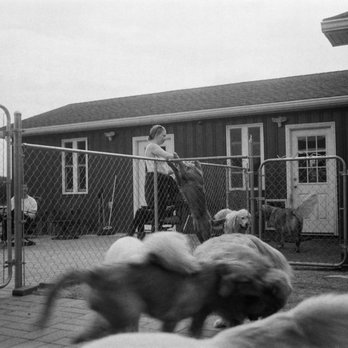 The Farm On Magnolia - Horse Boarding Near Me - Pemberton, New Jersey The Farm On Magnolia - Horse Boarding Near Me - Pemberton, New Jersey