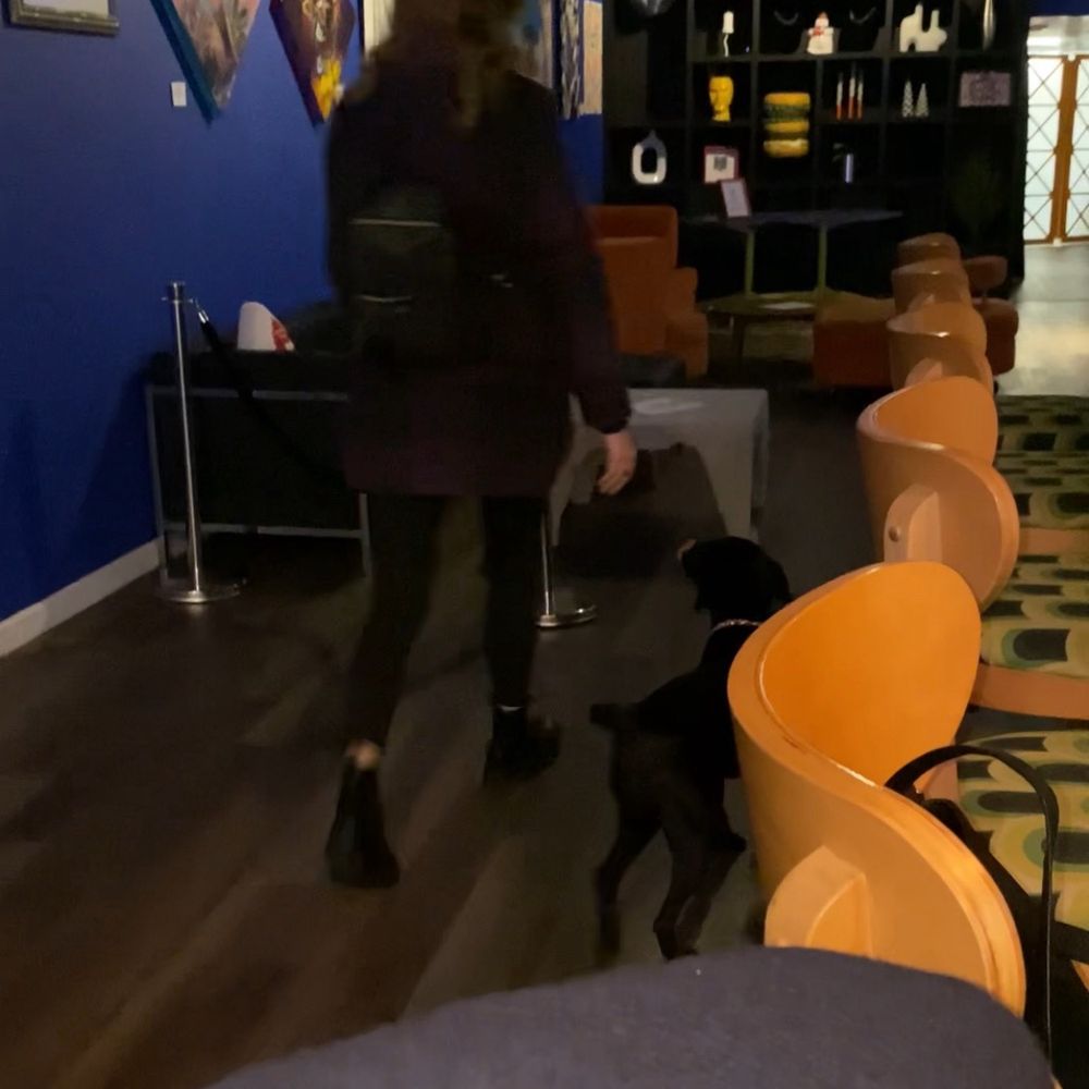 Gallery House - Bars Near Me - Charlotte, North Carolina