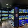 Photo of The Reef Aquarium Shop