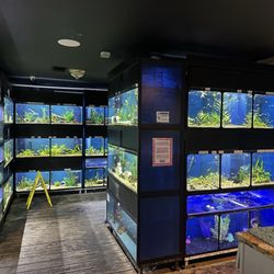 The Reef Aquarium Shop - Freshwater Room