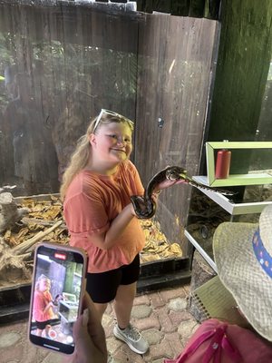 Croco Cun Zoo by null