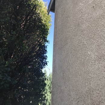 JR'S Stump Grinding - After photo - Tree Services Near Me