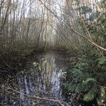 Narbeck Wetland Sanctuary - Surrounded by marshes - Parks Near Me - Everett, Washington Narbeck Wetland Sanctuary - Surrounded by marshes - Parks Near Me - Everett, Washington