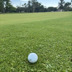 The Landings Golf Course - Fore!!
