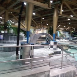 das Wellenbad