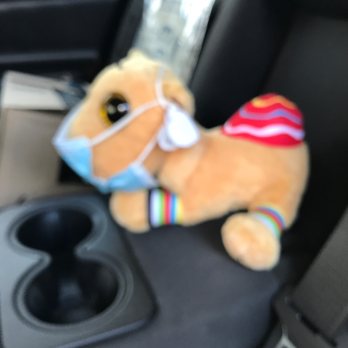 Flying J - Including Jamal the COVID aware camel! - Gas Stations Near Me - Cisco, Texas