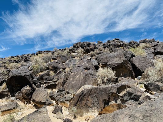 Petroglyph National Monument by null