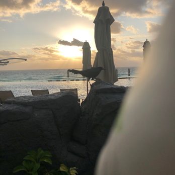 Hard Rock Hotel - Hotels Near Me - Cancún, ROO
