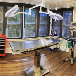 Dilworth Animal Hospital - Clean and organized surgery rooms