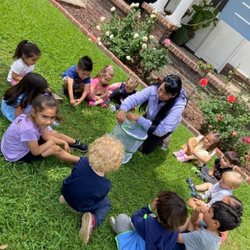 Butterfly stages: Egg, Caterpillar, Chrysalis, and butterfly! Releasing butterflies