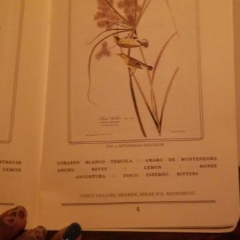 The Meadowlark - Speakeasies Near Me - Chicago, Illinois The Meadowlark - Speakeasies Near Me - Chicago, Illinois