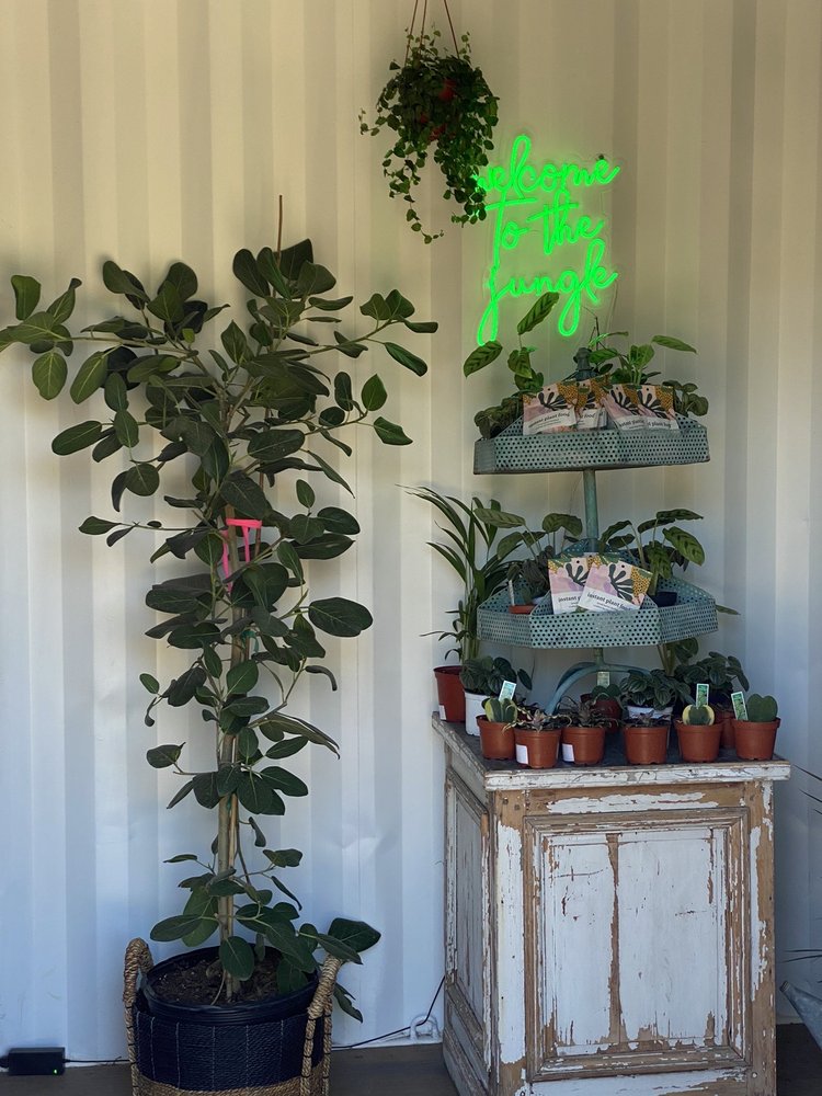 ROZET NURSERY 17 Photos Nurseries & Gardening 7707 E 22nd St