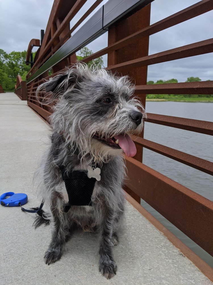 EASTER LAKE PARK Updated May 2024 24 Photos 2830 Easter Lake Dr