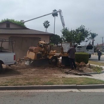 David's Tree Service - Heavy machinery - Tree Services Near Me - Huntington Beach, California David's Tree Service - Heavy machinery - Tree Services Near Me - Huntington Beach, California