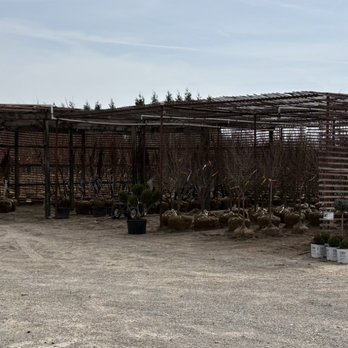 A Brown & Sons Nursery - More plants ready to go to customers. - Nurseries & Gardening Near Me - Brookville, Ohio A Brown & Sons Nursery - More plants ready to go to customers. - Nurseries & Gardening Near Me - Brookville, Ohio