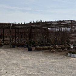 A Brown & Sons Nursery - More plants ready to go to customers.