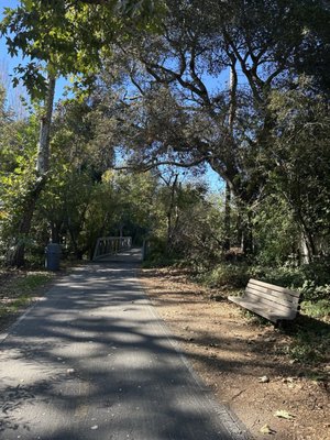 Bob Jones Trail Head by null