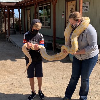 Conservation Ambassadors - Zoo to You - Someone could not properly care for this snake and Conservation Ambassadors stepped in! - Zoos Near Me - Paso Robles, California Conservation Ambassadors - Zoo to You - Someone could not properly care for this snake and Conservation Ambassadors stepped in! - Zoos Near Me - Paso Robles, California