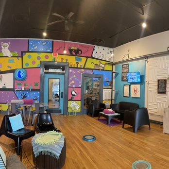 Crooked Tail Cat Cafe - Inside - Pet Adoption Near Me - Greensboro, North Carolina