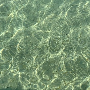 Endless Weekend Pontoons - Clear water and fishes - Boat Charters Near Me