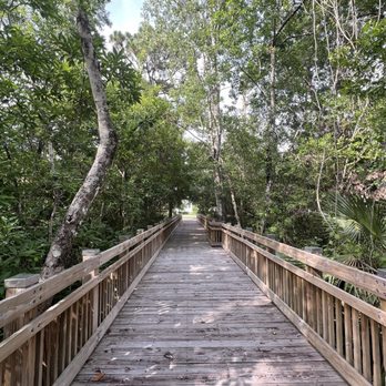Arbor Park - Parks Near Me - Celebration, Florida Arbor Park - Parks Near Me - Celebration, Florida