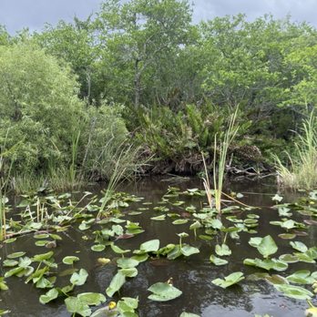 Coopertown Airboats - Everglades - Boat Tours Near Me - Miami, Florida Coopertown Airboats - Everglades - Boat Tours Near Me - Miami, Florida