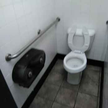 Hardee's - Toilet - Fast Food Near Me - Clinton, South Carolina