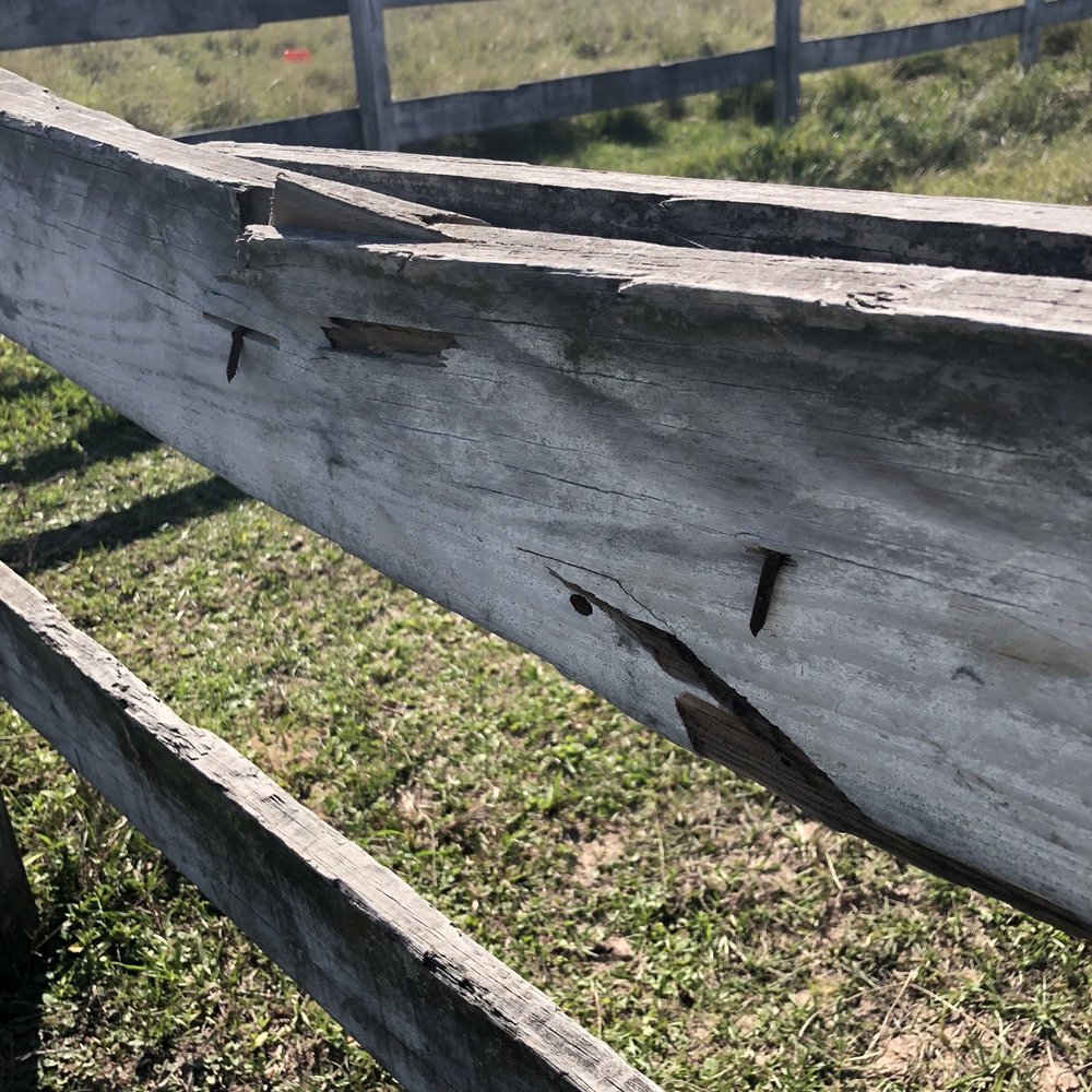 Freeman Ranch & Stables - Horse Boarding Near Me - Katy, Texas