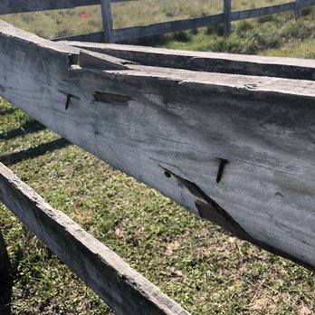 Freeman Ranch & Stables - Horse Boarding Near Me - Katy, Texas