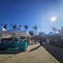 Photo of Certified Farmers Market at Farm House Collective