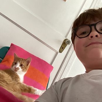 Right Meow Cat Cafe - Cat selfi - Themed Cafes Near Me - Fuquay Varina, North Carolina Right Meow Cat Cafe - Cat selfi - Themed Cafes Near Me - Fuquay Varina, North Carolina