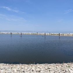 Louie's Lagoon - Marina