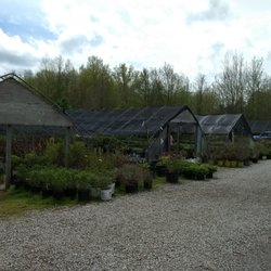 Brown Hill Nursery - Beautiful selection