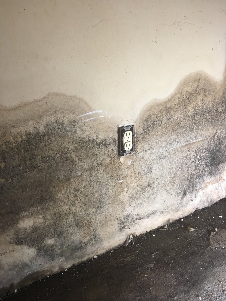 Spartan Environmental Corp - mold inspector in Rochester, NY