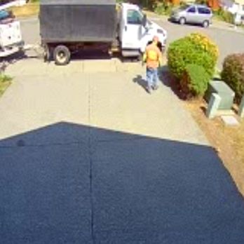 Tony's Professional Tree Service - Man has finished throwing the birds under the bushes. - Tree Services Near Me - Kirkland, Washington Tony's Professional Tree Service - Man has finished throwing the birds under the bushes. - Tree Services Near Me - Kirkland, Washington