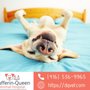 Photo of Dufferin Queen Animal Hospital