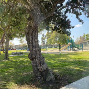 Bixby Knolls Park - Playground - Parks Near Me - Long Beach, California Bixby Knolls Park - Playground - Parks Near Me - Long Beach, California
