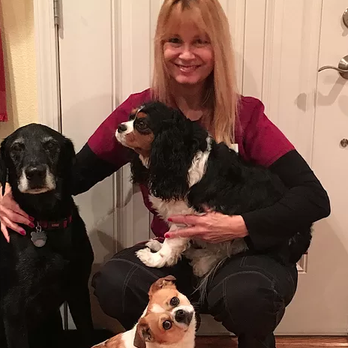 The Very Leashed - My crew - Pet Sitting Near Me The Very Leashed - My crew - Pet Sitting Near Me