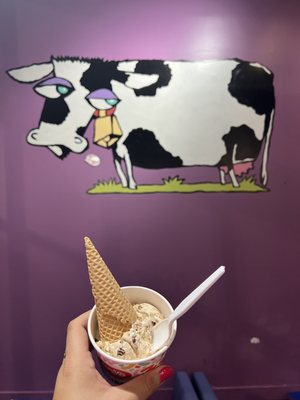 Amy's Ice Creams by null