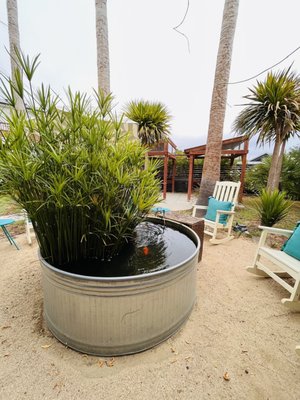 MoonAcre Spa & Baths by null