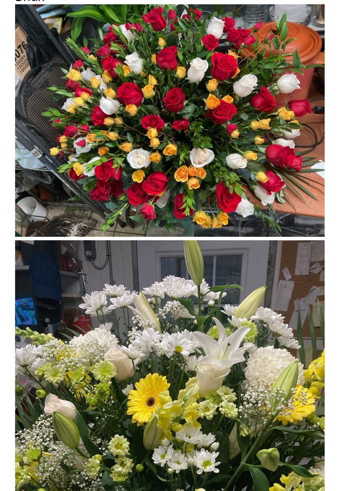 BOB’S GARDEN CENTRE Updated October 2024 33 Photos 959 Mount