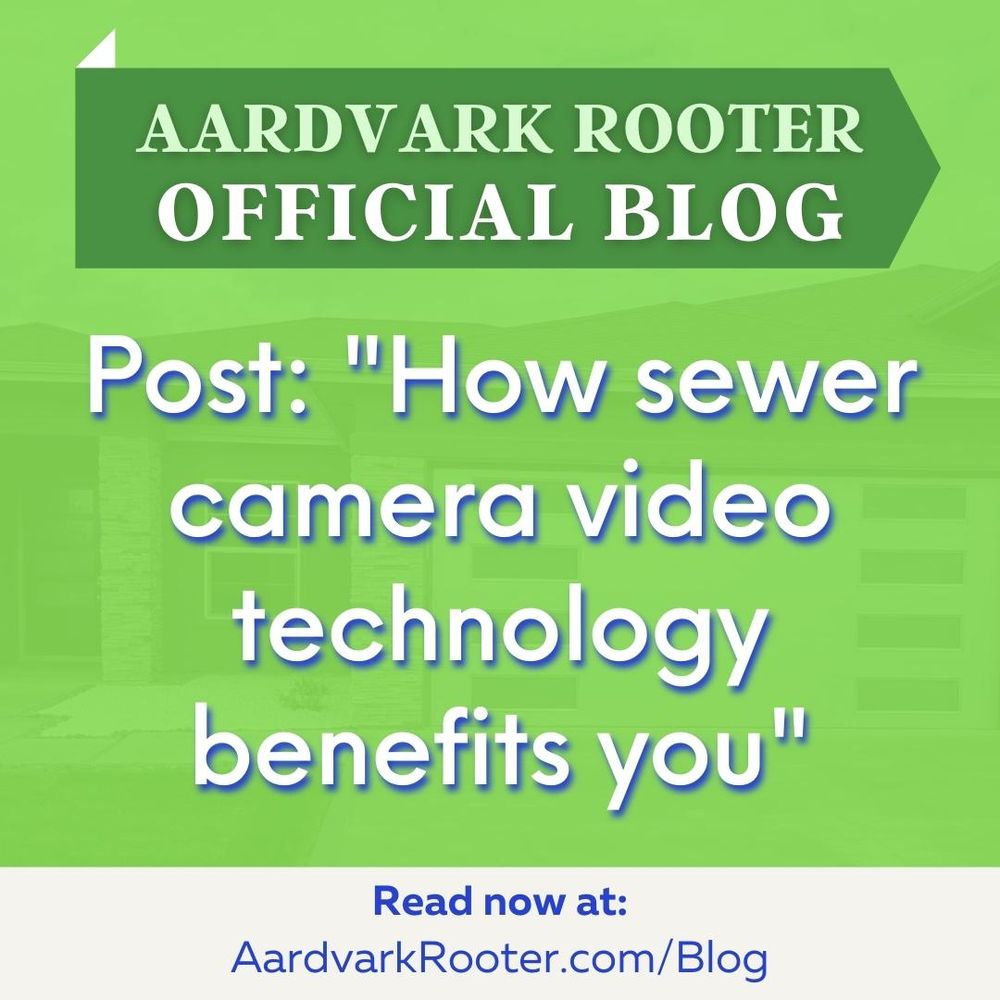 Slide of Aardvark Rooter