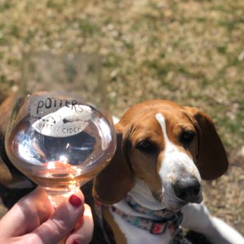 Potter's Craft Cider - cider + coonhound - Cideries Near Me - Charlottesville, Virginia