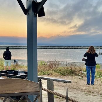 OceanCiders - Rare juvenile Humpback Whale sighting inside Pillar Point Harbor in September 2024 - Beer Bar Near Me - Half Moon Bay, California